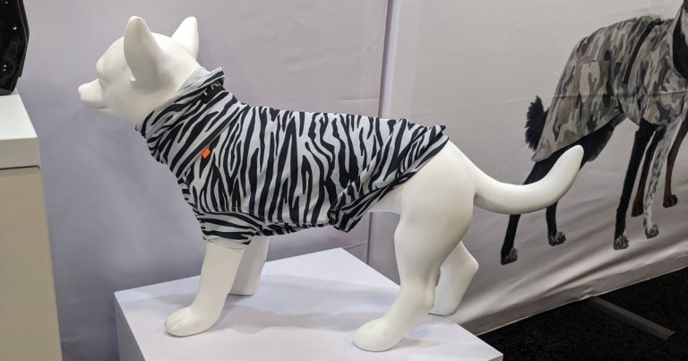 zebra print bug shirt for dogs | The Latest Outdoor Travel Gear for Pets at SuperZoo 2022