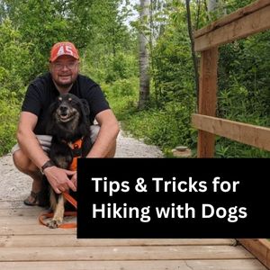 start here hiking with dogs