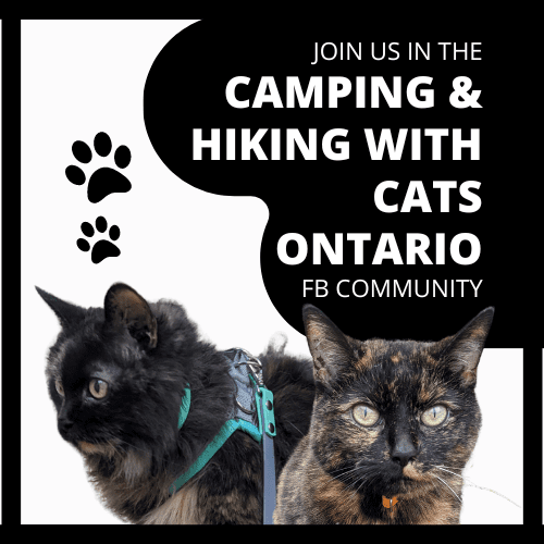 camping & hiking with cats ontario fb group