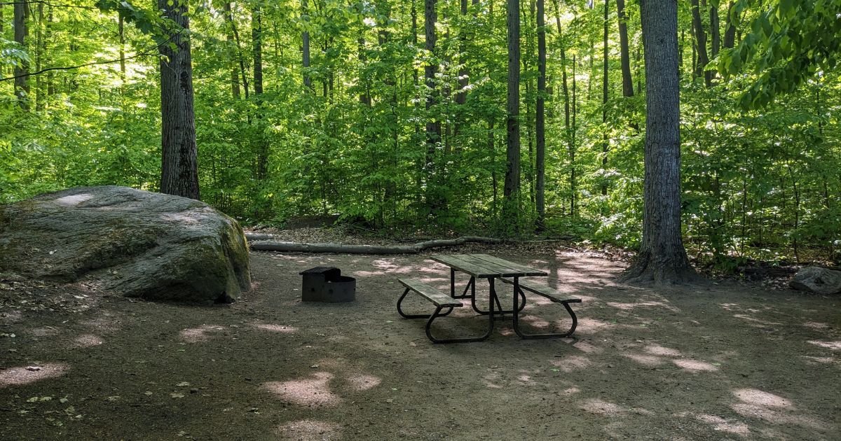 campsite with picnic table and fire pit | Awenda Provincial Park: Video Review