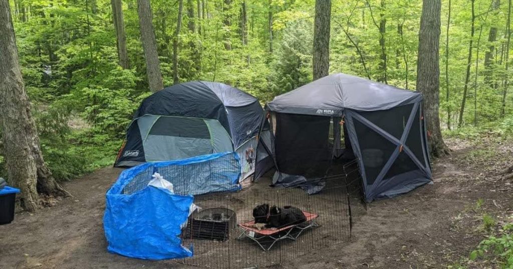 campsite with tent and screen tent | KUMA Bear Den Gazebo Review