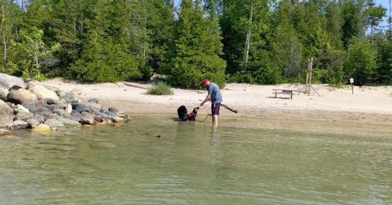 man at dog beach with 2 dogs | MacGregor Point Provincial Park: Video Review