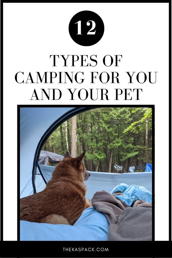 12 types of camping for you and your pet pin