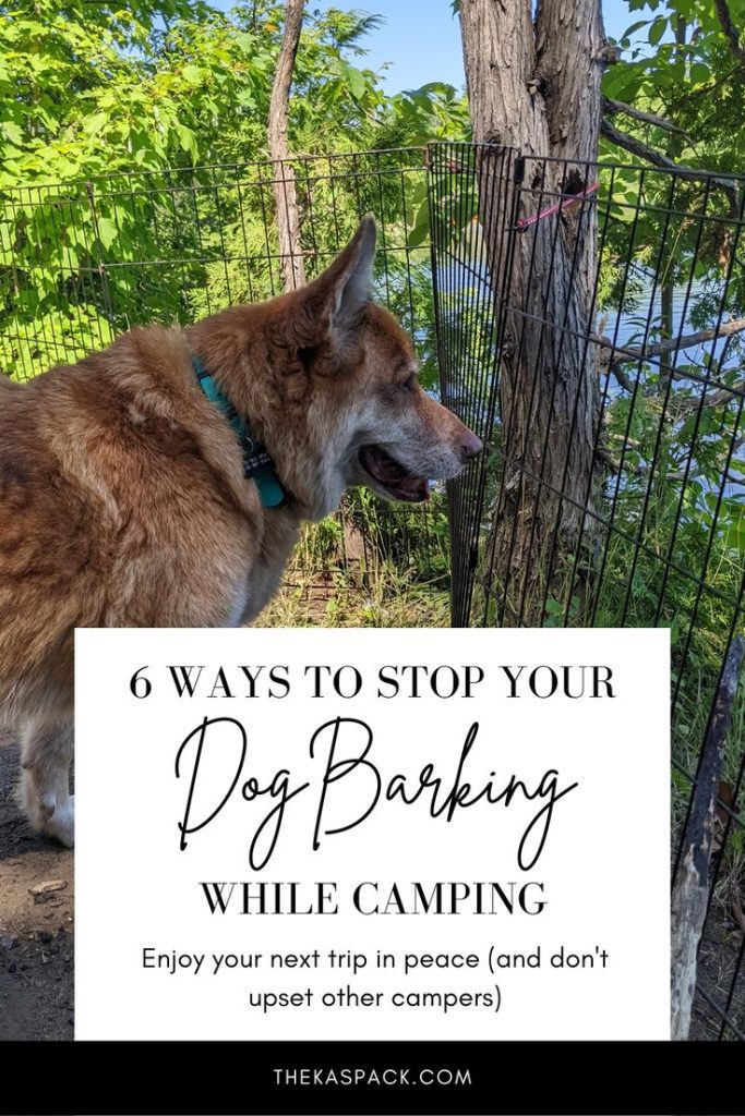 6 ways to stop your dog barking while camping pin