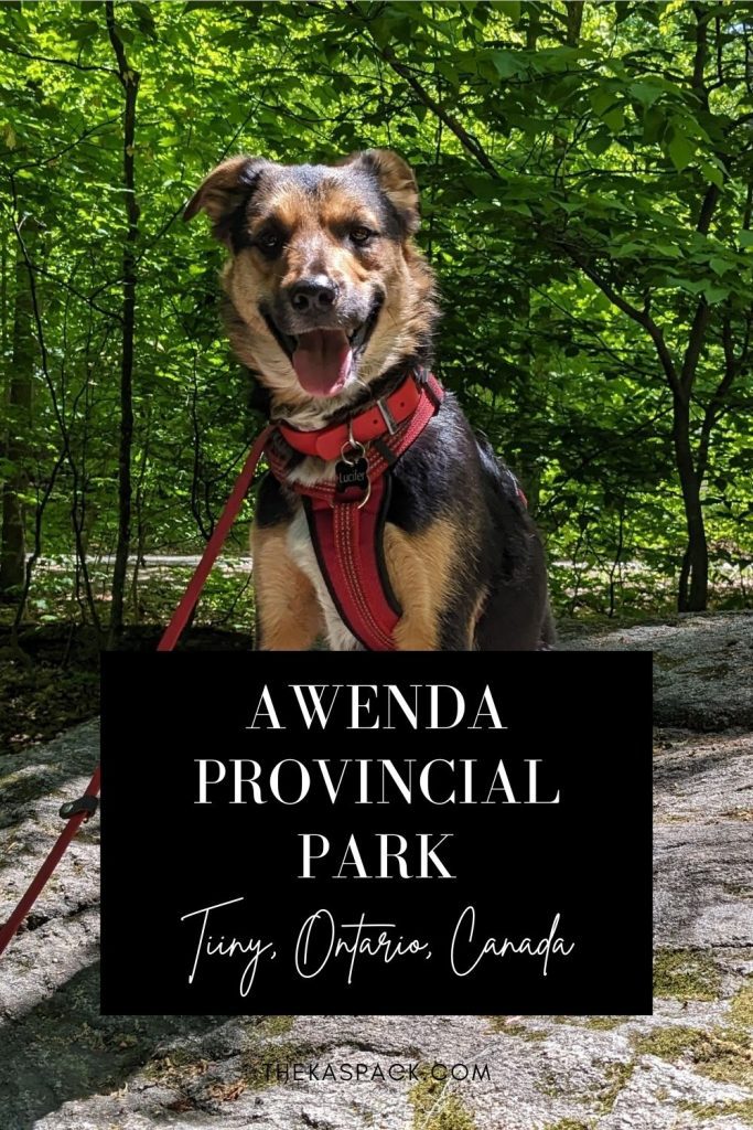 awenda provincial park