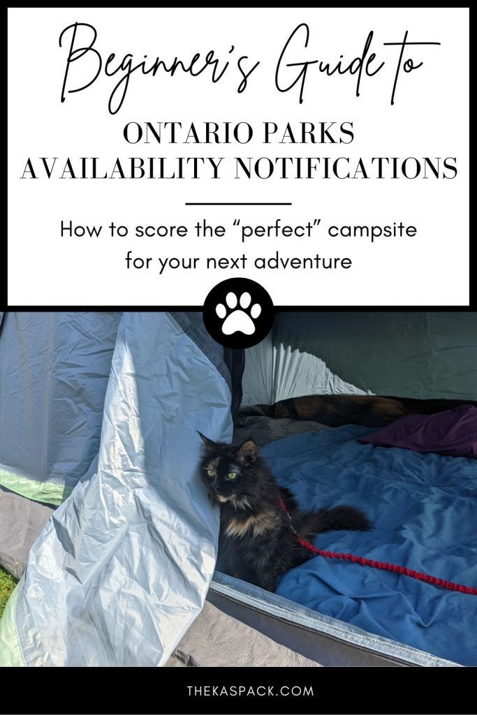 beginners guide to ontario parks availability notifications pin