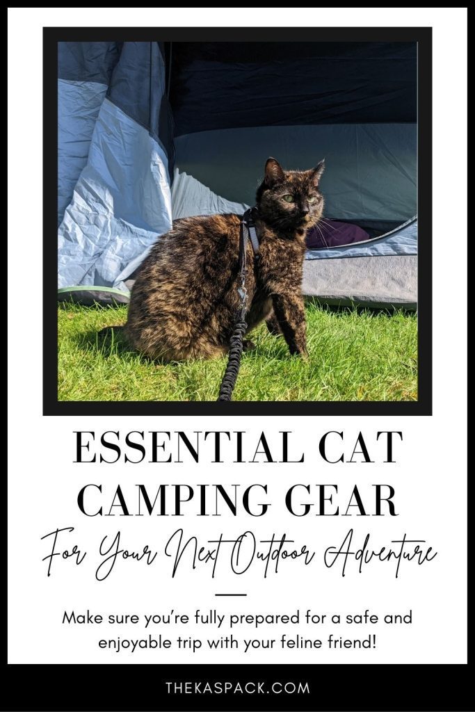 essential cat camping gear pin