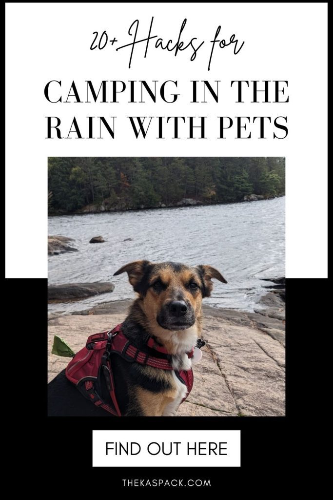 hacks for camping in the rain with pets pin | 20+ Hacks for Camping in the Rain with Pets