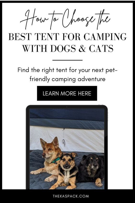 how to choose the best tent for camping with dogs and cats pin