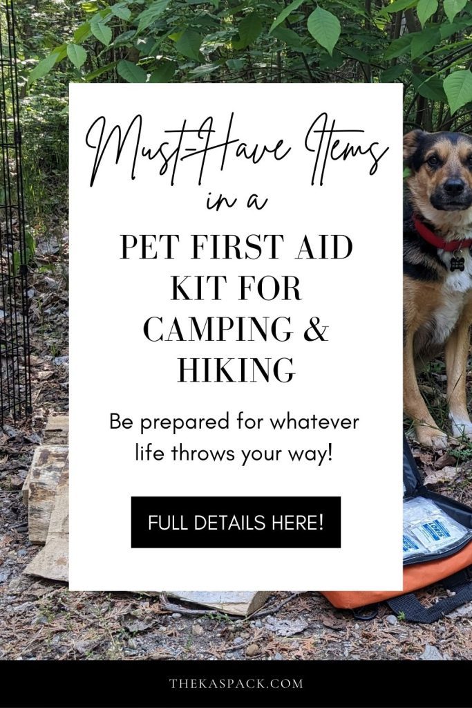 must have items in a pet first aid kit for camping and hiking pin