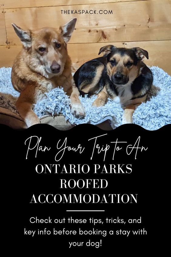 plan your trip to an ontario parks roofed accomodations pin