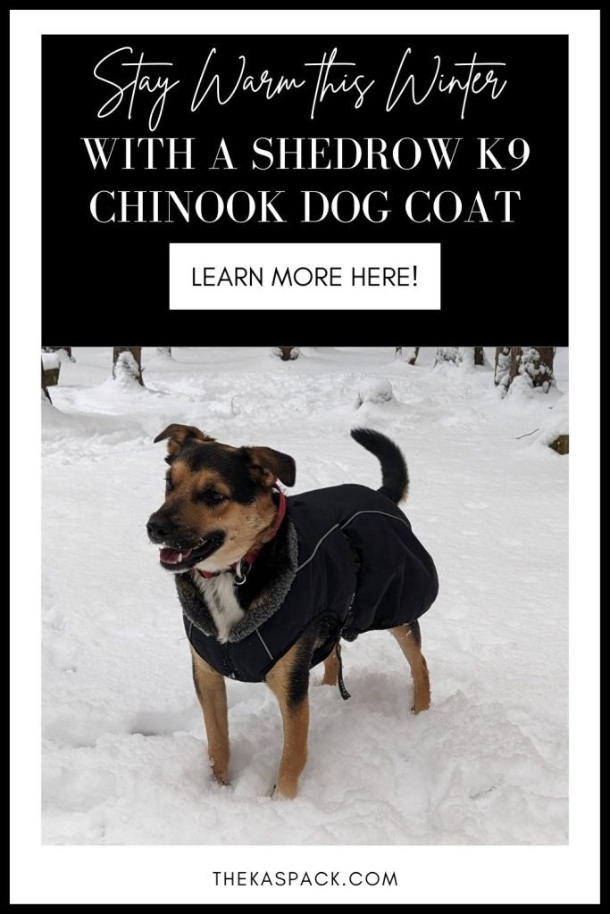 shedrow k9 chinook dog coat pin