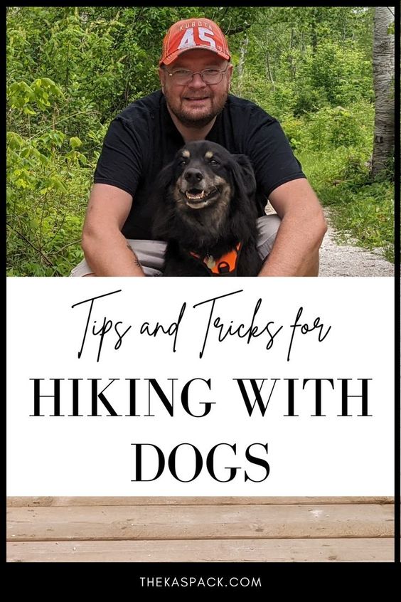 tips and tricks for hiking with dogs pin