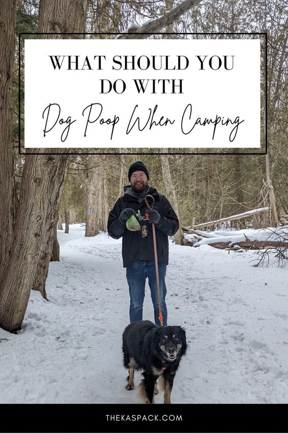 what should you do with dog poop when camping pin