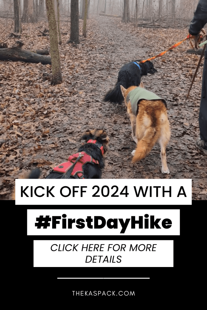 three dogs hiking first day hike pin | Kick Off 2024 with a First Day Hike