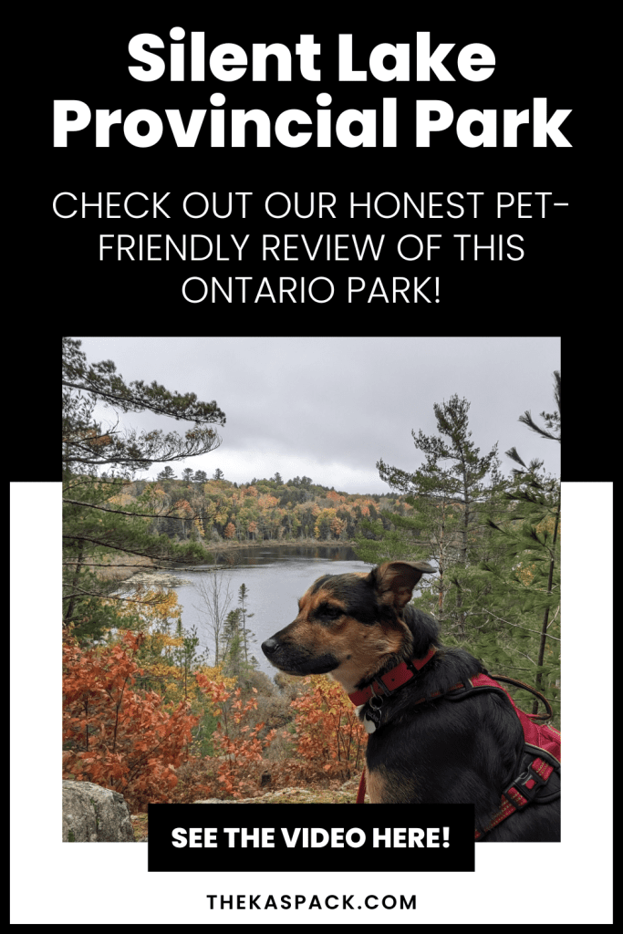 dog hiking at silent lake pin | Silent Lake Provincial Park: Video Review