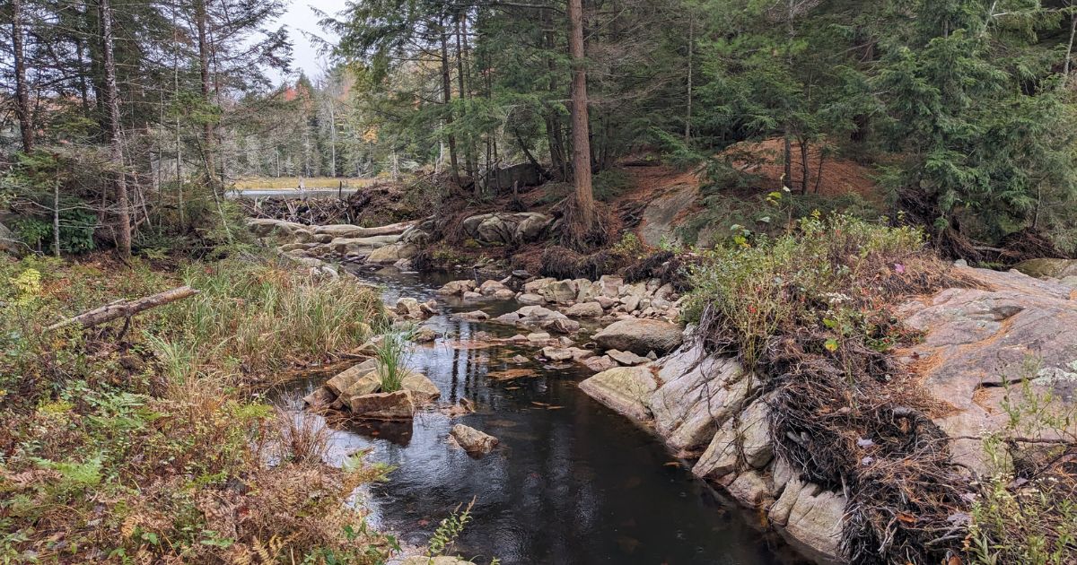 view on the lakeshore hiking trail at silent lake | Silent Lake Provincial Park: Video Review