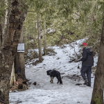 a man and a dog hiking on the bruce trail in the winter | Hiking the Bruce Trail with Dogs (and Cats)