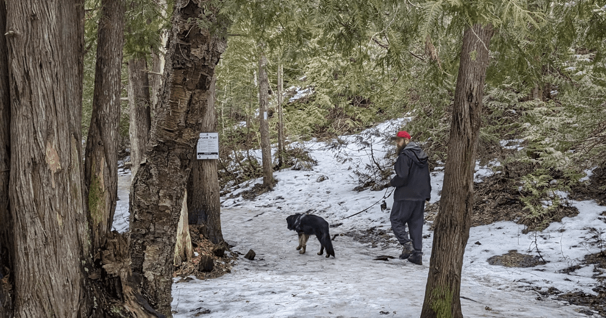 a man and a dog hiking on the bruce trail in the winter | Hiking the Bruce Trail with Dogs (and Cats)