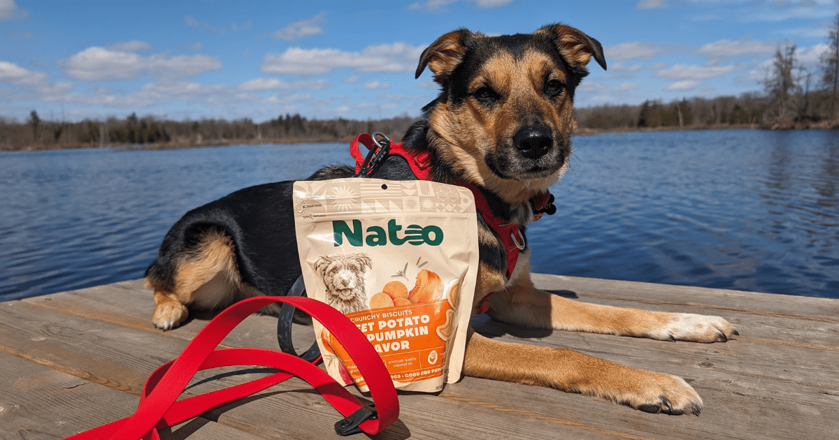 dog posing with a bag of natoo dog treats | Incredible Pet-Friendly Travel Products from Global Pet Expo 2024