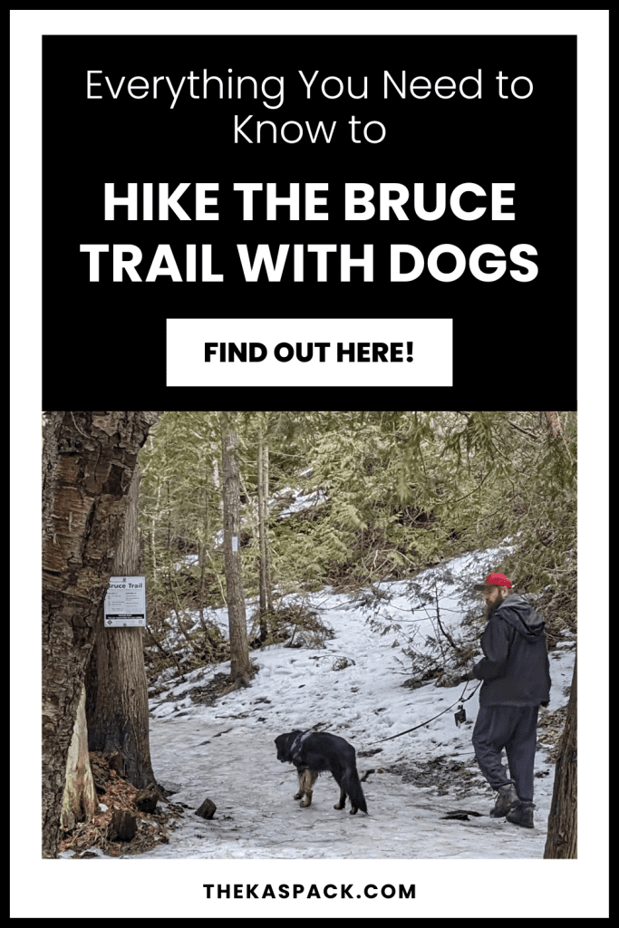 hike the bruce trail with dogs pin | Hiking the Bruce Trail with Dogs (and Cats)