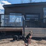 two dogs sitting outside cabinscapes mica cabin | Unleash Adventure at These Stunning Ontario Dog-Friendly Cabin Rentals Cabinscape