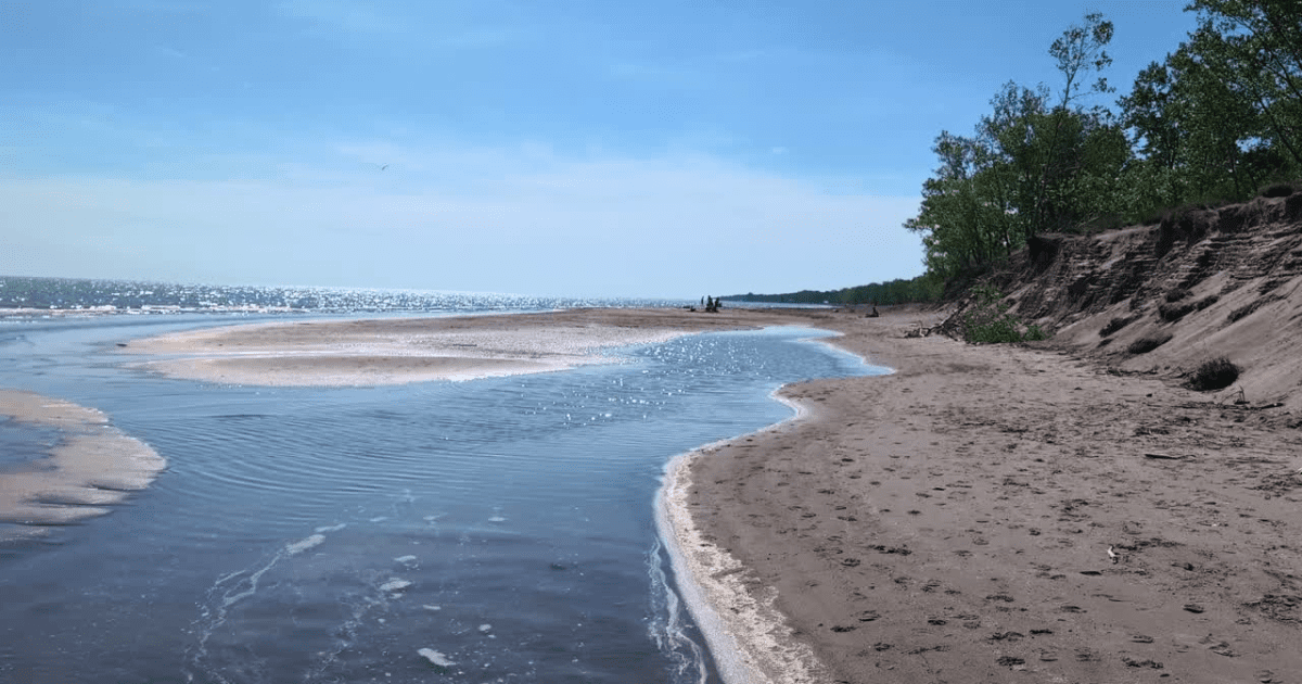 beach at long point provincial park | Long Point Provincial Park: Video Review