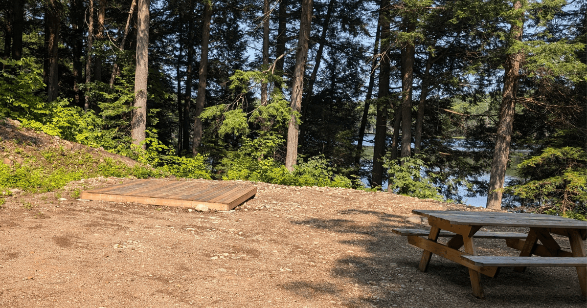 campsite with a tent pad and picnic table | Limberlost Forest & Wildlife Reserve: Video Review