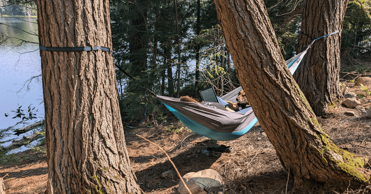 woman reading in a hammock with a dog next to a lake | Limberlost Forest & Wildlife Reserve: Video Review