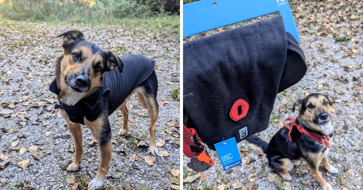 collage of a dog wearing the rc pets baseline fleece | 2024 Holiday Gift Guide for Adventure-Loving Dogs and Cats