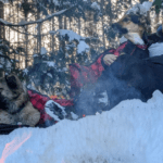 two dogs and a woman sitting around a winter fire in kuma lazy bear chairs | 2024 Holiday Gift Guide for Adventure-Loving Dogs and Cats