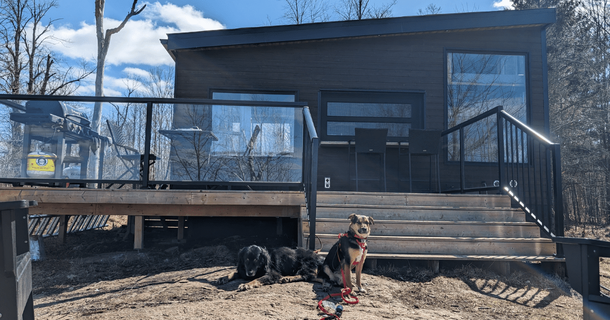 two dogs sitting in front of a cabinscape cabin | 2024 Holiday Gift Guide for Adventure-Loving Dogs and Cats