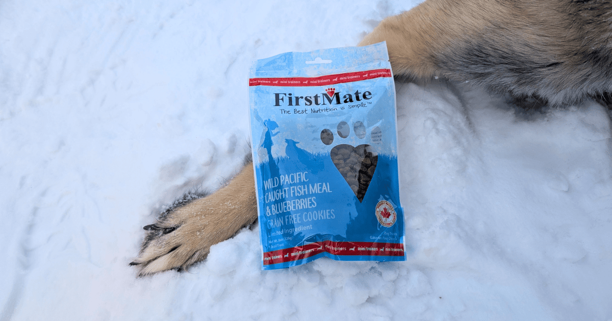package of dog treats resting against a dogs paw in the snow | Shop Canadian: A Guide to Canadian Brands for Pet-Friendly Outdoor Travel Lovers
