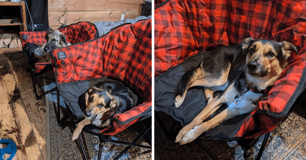 collage of two dogs testing camp chairs indoors | Unwind Anywhere: Our Honest Review of KUMA's Lazy Bear Heated Chair & Cozy Dog Bed
