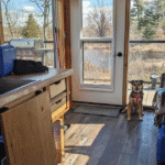 dog sitting by the door of a wood cabin | Pet-Friendly Cabins & Lodges for Off-Season Getaways in Ontario