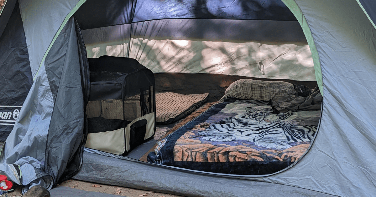 view inside a tent with a bed and a cat playpen | How to Plan Your First Camping Trip with Pets