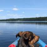 dog sitting in a kayak on the lake | Lake St. Peter Provincial Park: Video Review