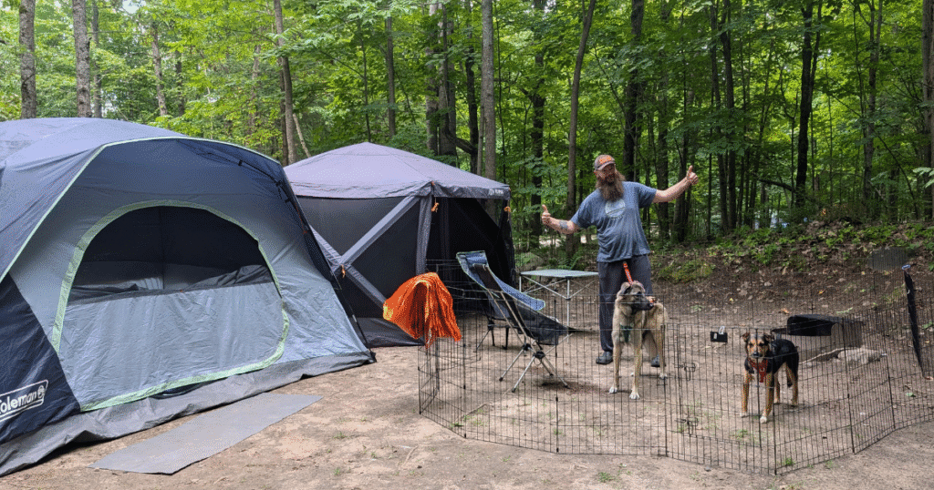 man standing in a pen with two dogs on a campsite next to two tents | Crown Land vs. Provincial Parks: Where's Better for Our Pets?