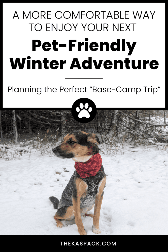 dog sitting in the snow wearing a seasonal bandana on a pinterest graphic | A More Comfortable Way to Enjoy Your Next Pet-Friendly Winter Adventure