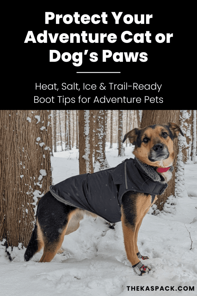 a Pinterest pin graphic showing a dog outside in the snow wearing a coat and dog boots | Our Tried-and-Tested Guide to Paw Protection for Adventure Pets