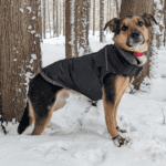 a dog outside in the snow wearing a coat and dog boots | Our Tried-and-Tested Guide to Paw Protection for Adventure Pets