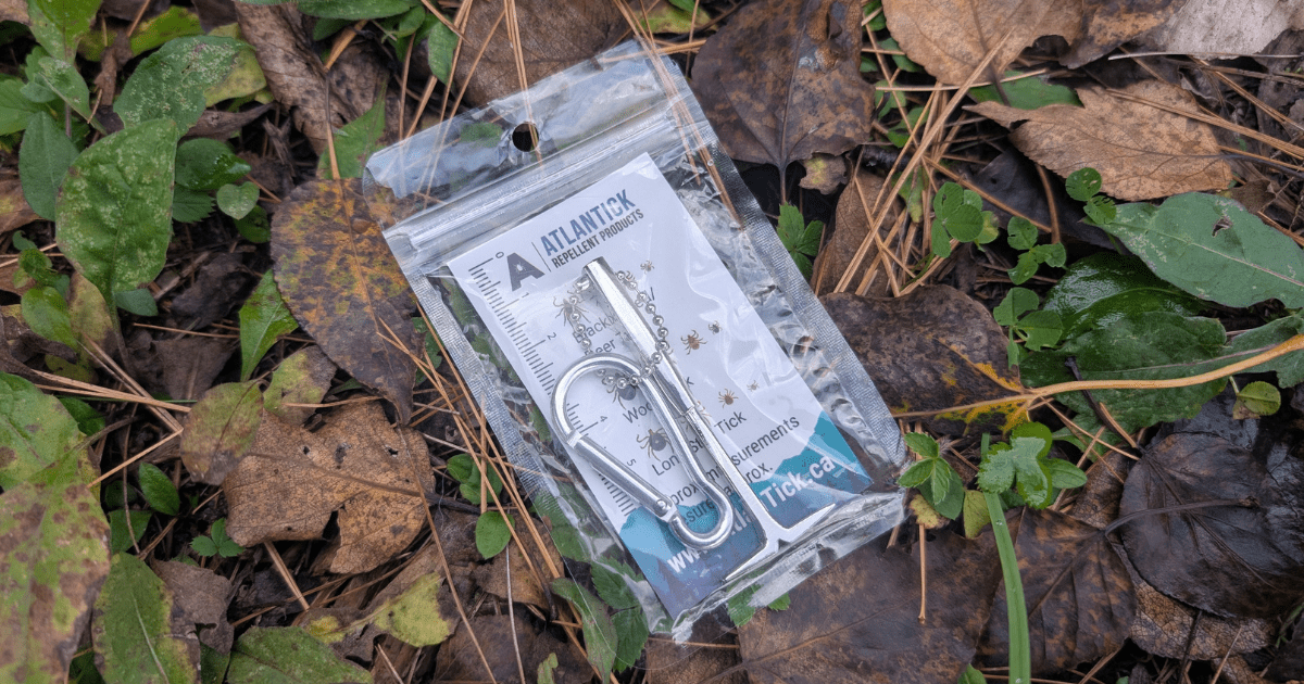 a tick removal key in the package lying on the ground | How to Protect Your Dog and Cat from Ticks This Camping Season