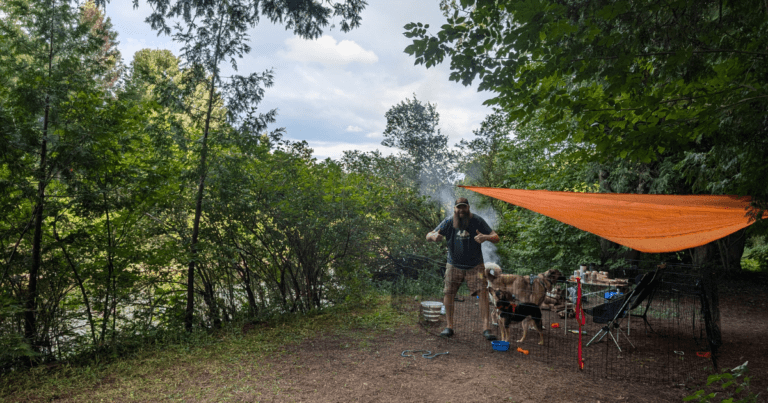 a man standing beside a river on a campsite giving the thumbs up with two dogs beside him | How to Find Private, Pet-Friendly Campsites Using Hipcamp