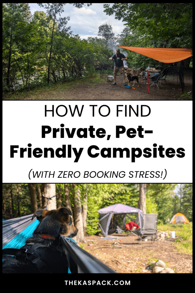 a pinterest pin graphic showing dogs at tent campsites with text about private pet friendly campsites | How to Find Private, Pet-Friendly Campsites Using Hipcamp